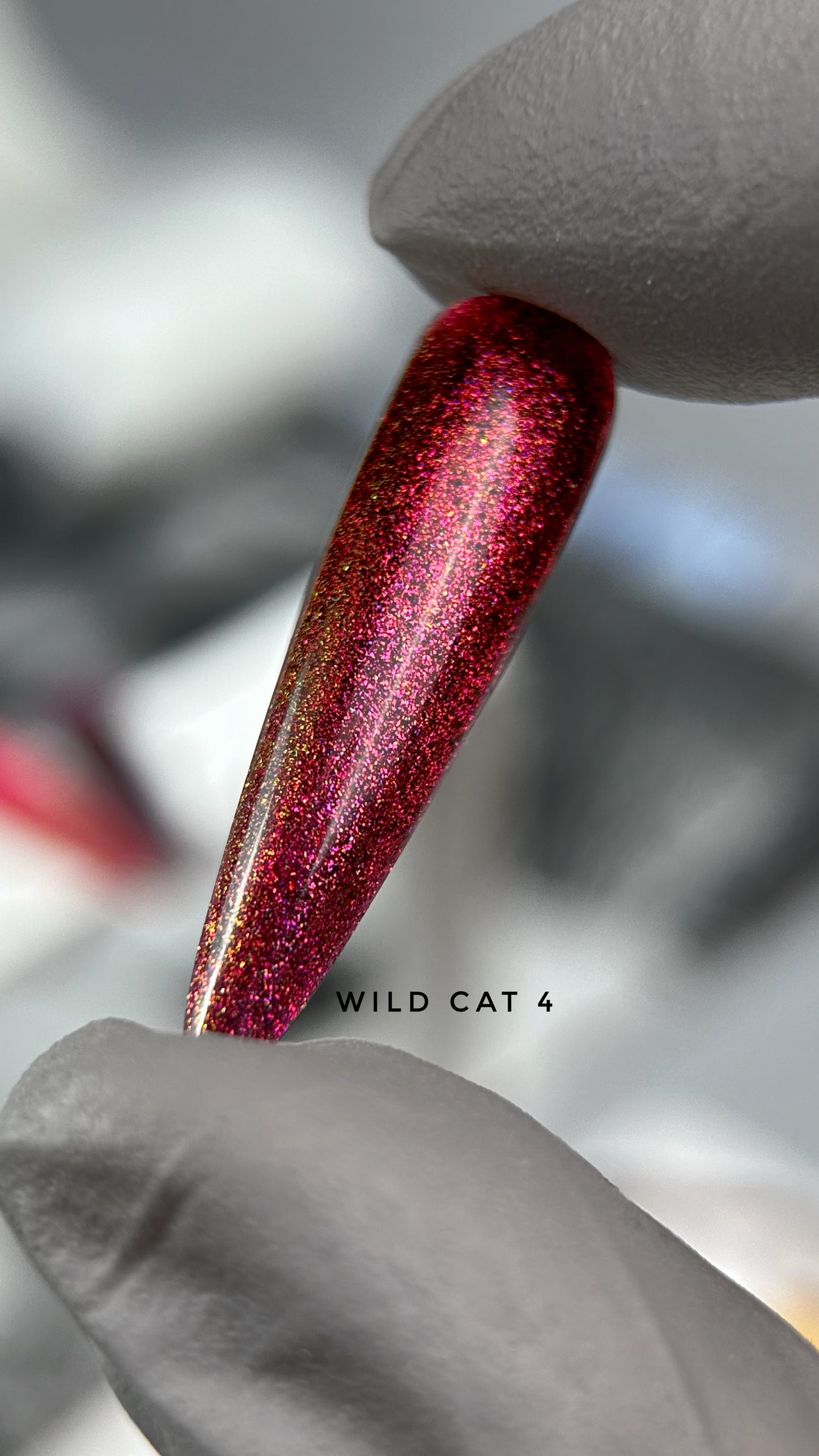 Saga Wild Cat 4