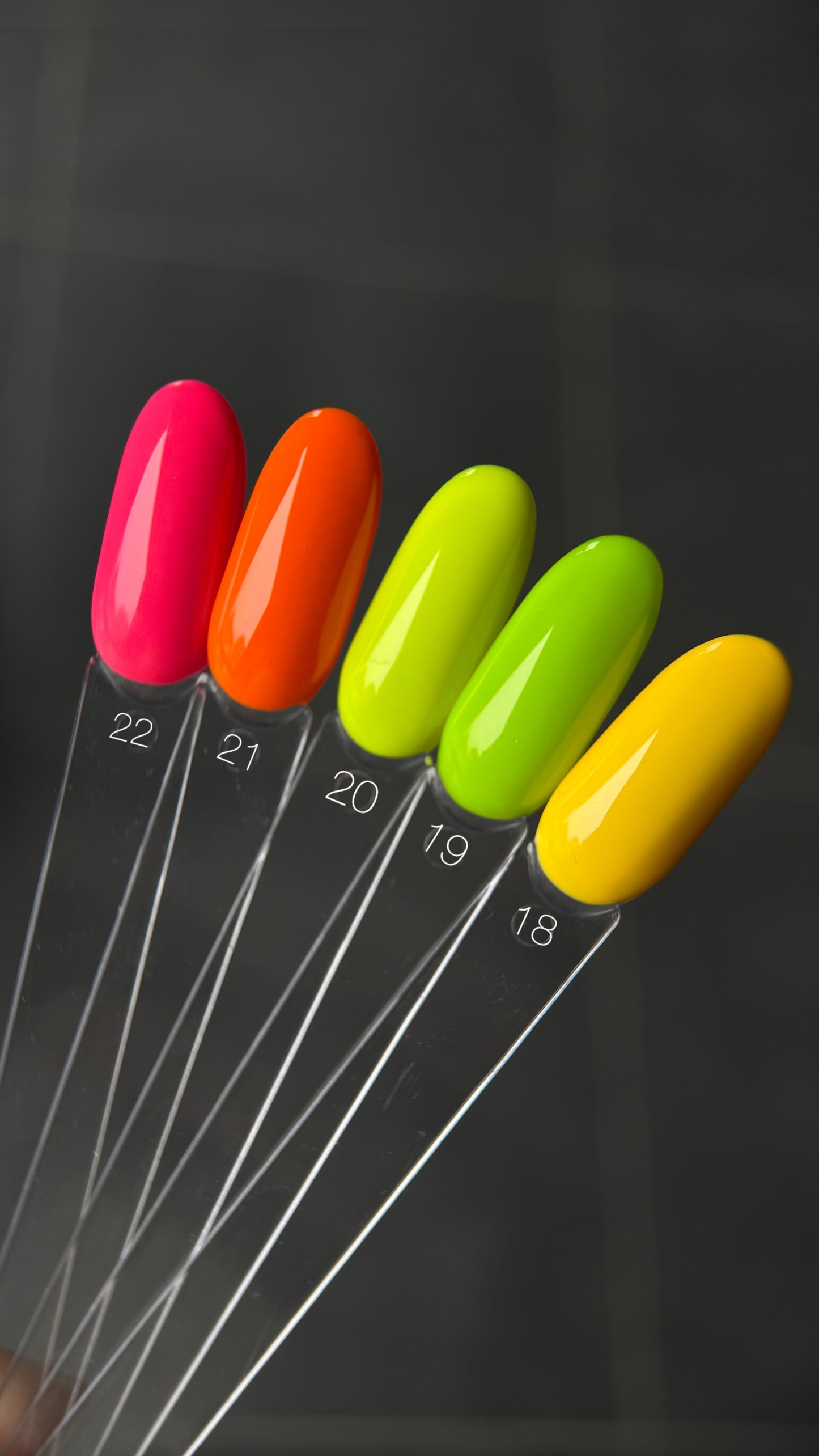 Saga Gel Polish 10 ml 19