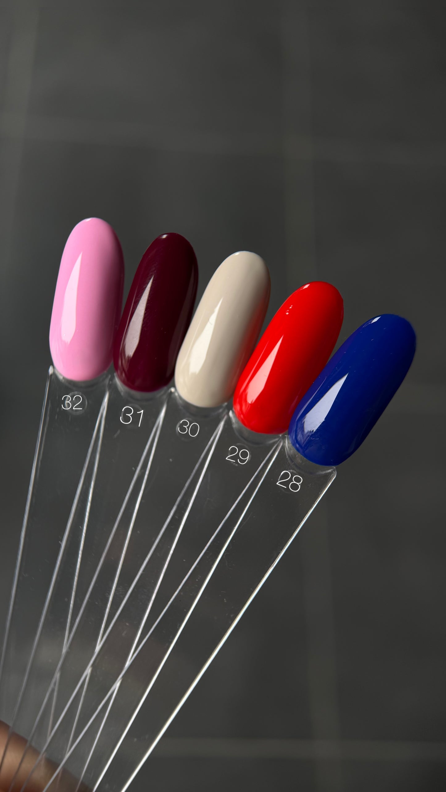 Saga Gel Polish 10 ml 31