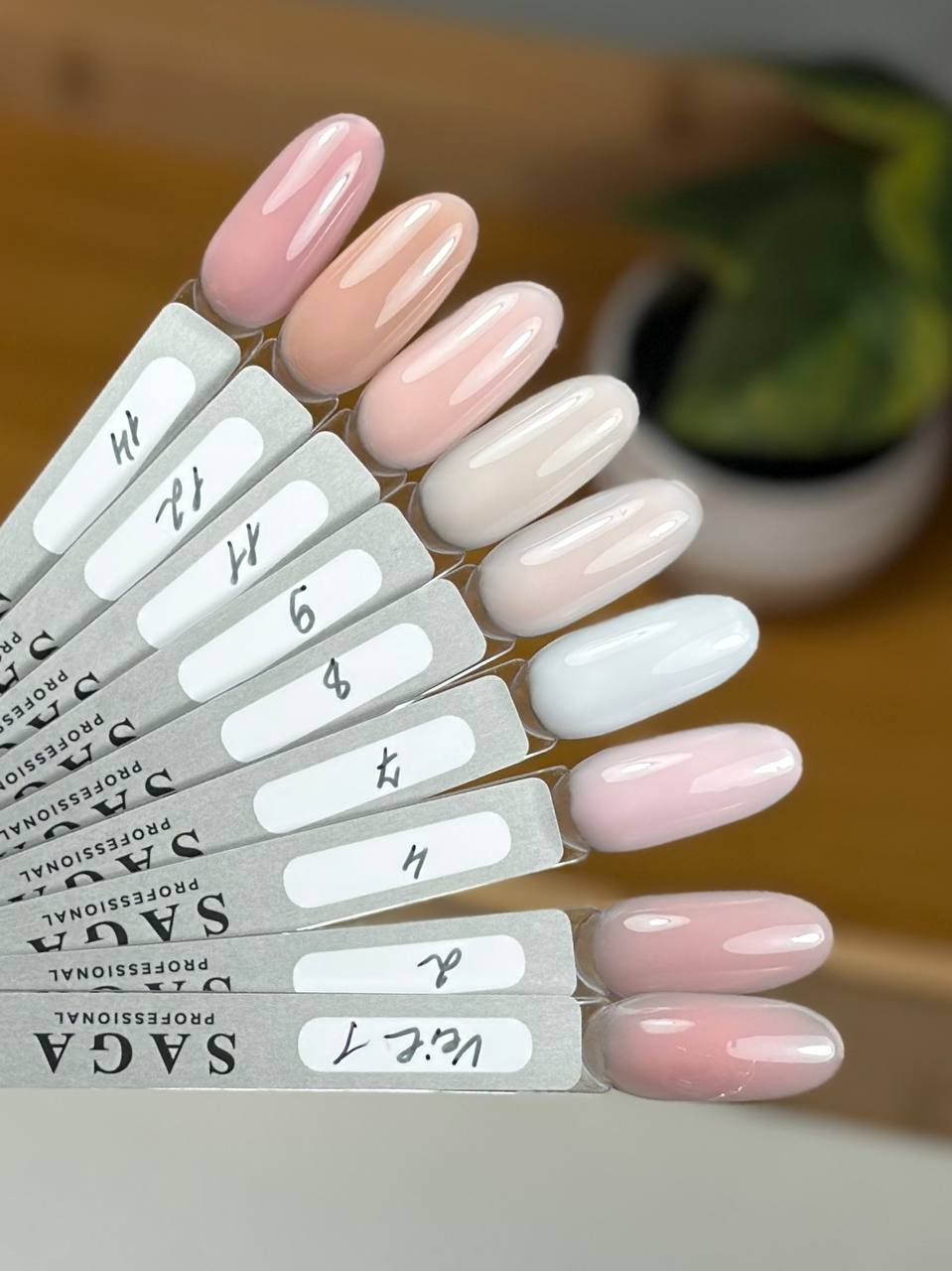SAGA Builder Gel Veil 15 ml 01