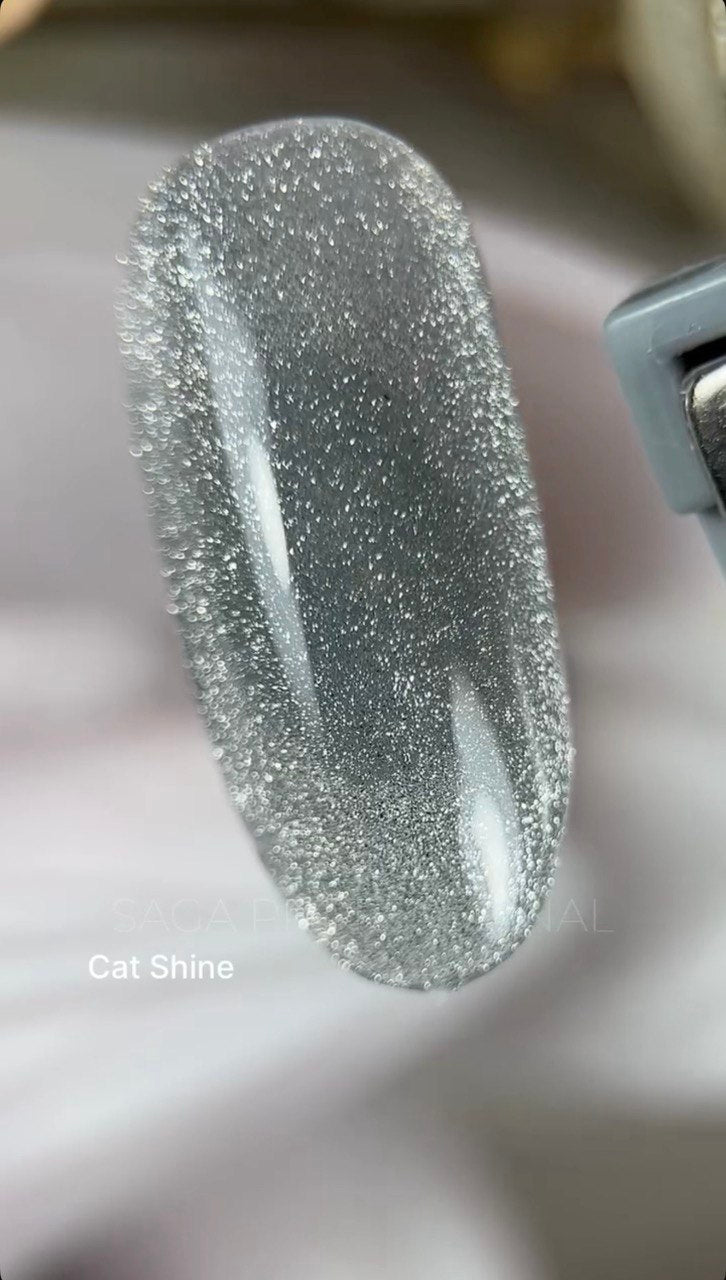 Saga Cat Shine